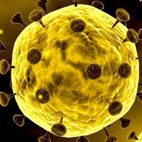 5-artis-dunia-ini-donasikan-hartanya-untuk-melawan-virus-corona-ada-yang-sampai-3-m