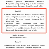 oh-ini-ternyata-kenapa-lockdown-tak-jadi-pilihan-jokowi