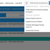 tidak-semua-kucing-bulu-panjang-itu-angora