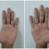 baca-garis-tangan---gratis