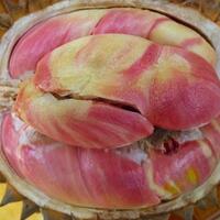 jenis-jenis-durian-yang-hits-di-indonesia-yummy