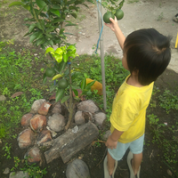 aktivitas-masih-seperti-biasa-mumpungdirumah-bersihkan-kebun-yuk