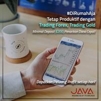 trading-forex-di-rumah-aja