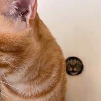 lounge-reg-kalimantan-barat----part-5