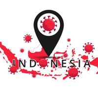 update-rincian-kasus-virus-corona-di-28-provinsi-di-indonesia-dan-upaya-pemerintah