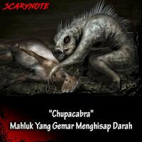 hewan-berwujud-vampir-di-dunia-nyata-benarkah-ada