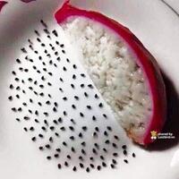 meledak-gambar-ini-bikin-kamu-cengengesan