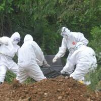 satu-pasien-positif-corona-kluster-ijtimak-gowa-meninggal-di-balikpapan