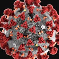 covid-19-bukan-waktunya-saling-menunjuk-ayo-bekerja-sama