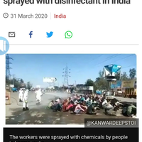 driver-ojol-yang-melindungi-pizza-dari-mobil-disinfektan-dapat-penghargaan