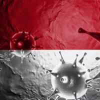 hilangnya-empati-dan-simpati-di-tengah-wabah-corona