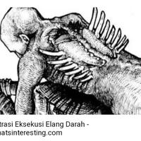 adalah-siksa-yang-paling-kejam-dari-viking