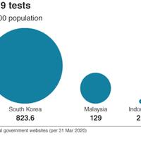 media-asing-indonesia-bergulat-dengan-ketakutan-lonjakan-virus-yang-tersembunyi