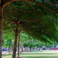 new-pendopo-sony-alpha---part-2