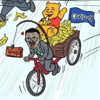 haruskah-pemimpin-who-dipecat-ini-respons-pemerintahan-donald-trump