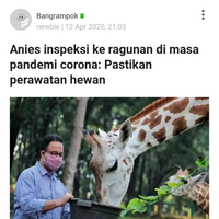 anies-tes-terbatas-angka-positif-corona-belum-tentu-cerminkan-fakta-lapangan