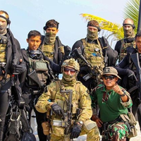 mengenal-singkat-devgru---seals-team-six