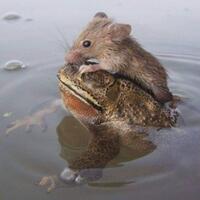 kementerian-bumn-mengaku-ada-mafia-besar-di-industri-kesehatan-sikat-dong