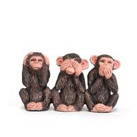 phylosophi-three-wise-monkeys---sebuah-pemahaman-yg-sangat-baik-utk-manusia-semua