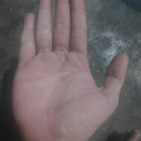 baca-garis-tangan---gratis