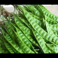 bagi-pecinta-petai-tak-perlu-lagi-takut-bau-mulut-beginilah-caranya