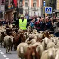 kenapa-bisa-ada-virus-penyakit-menular-apa-karena-revolusi-neolitikum