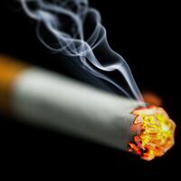 nicotine-bikin-daya-tahan-paru-paru-lebih-baik-berhadapan-dengan-covid-19