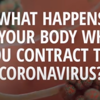 ciri-ciri-tubuh-yang-terinfeksi-corona-virus