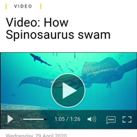 perjalanan-penemuan-dino-setengah-buaya-spinosaurus