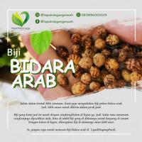 nih-pohon-bidara-yang-sering-dipake-buat-ruqyah--bidara-arab