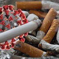 viral-produk-rokok-sampoerna-dimusnahkan-gegara-corona-ini-penjelasannya
