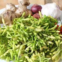 coc-ramadhan-2020pahit2-manja-sayuran-khas-kampung-ini-bikin-berbuka-makin-nikmat