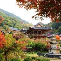 keindahan-5-kuil-di-korea-selatan-yang-sayang-dilewatkan