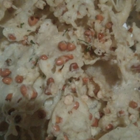 sekamar-kos-dengan-quotdiaquot