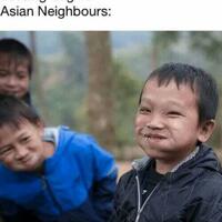 viral-wanita-di-bali-asuh-52-anjing-diminta-kurangi-peliharaan-saat-pandemi