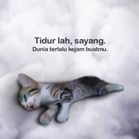 viral-3-perempuan-di-malaysia-menyiksa-kucing-hingga-mati-warganet-biadap