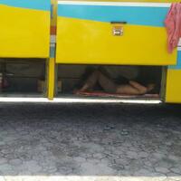 mengintip-kandang-macantempat-istirahat-sopir-bus-malam