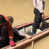 berenang-di-sungai-kisan-gadis-17-tahun-tewas-diterkam-buaya
