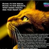 3-perempuan-pelaku-injak-anak-kucing-sampai-mati-bukan-di-malaysia