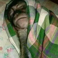 inilah-10-cosplayer-terkawaii-di-indonesia