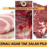 cara-membedakan-daging-sapi-dengan-daging-babi-yang-mentah-maupun-sudah-matang