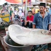 pasar-bandeng-gresik