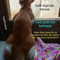 post-image