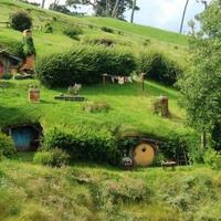 kisah-pemilik-kedai-yang-quotbijaksanaquot