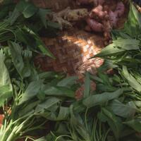 alun-alun-nikonian---part-14