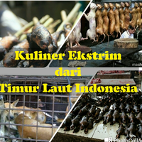 kuliner-ekstrim-dari-timur-laut-indonesia