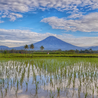 trip-santai---pelarian-ke-puncak-gunung-sumbing