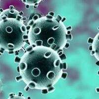 akhirnya-antivirus-corona-made-in-ri-resmi-dipatenkan