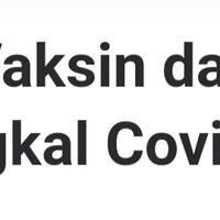 who-peringatkan-dunia-virus-corona-mungkin-baru-bisa-dikendalikan-5-tahun-lagi