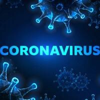 kilas-balik-corona-hingga-new-normal-jadi-pilihan-indonesia-dan-dunia